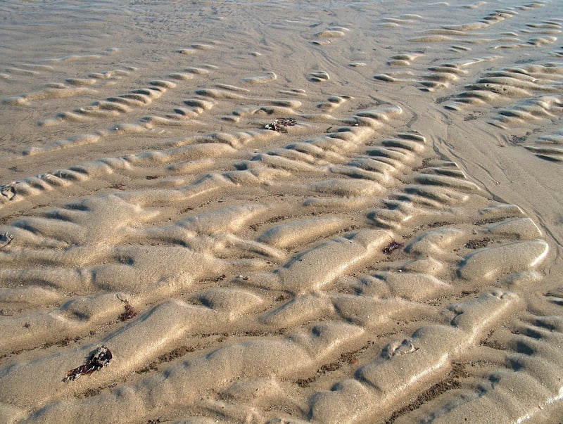 Recycled Art Sculpture